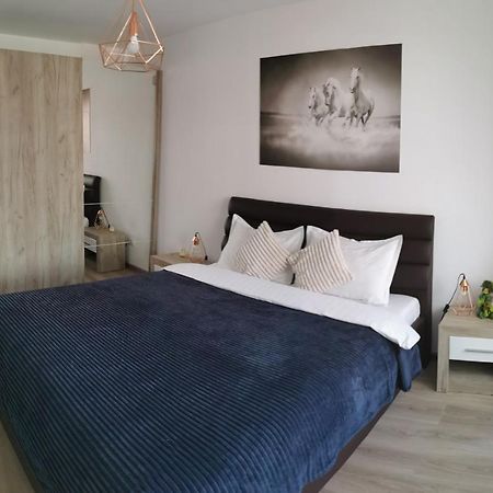 Marimonti Apartment 브라쇼브 외부 사진