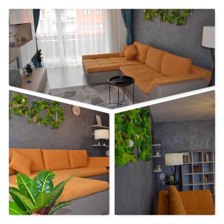 Marimonti Apartment 브라쇼브 외부 사진
